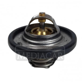 TERMOSTATO OEM