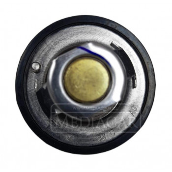 TERMOSTATO OEM