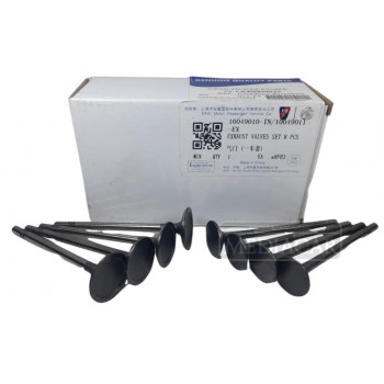JUEGO VALVULA ADM/ESC  10049010-IN/10049011-EX OEM