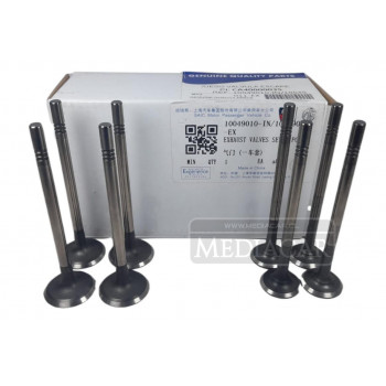 JUEGO VALVULA ADM/ESC  10049010-IN/10049011-EX OEM