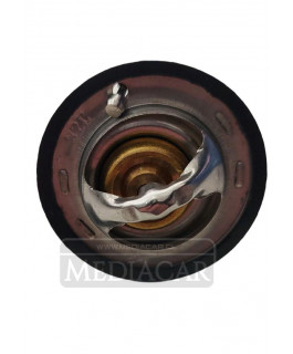 TERMOSTATO WINGLE 5 22 11/20 TERMOSTATO WINGLE 5 22 11/20