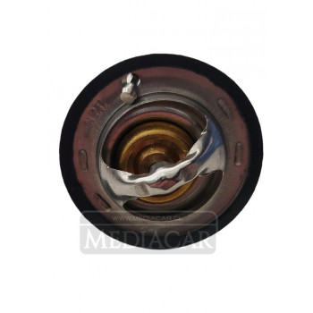 TERMOSTATO WINGLE 5 22 11/20