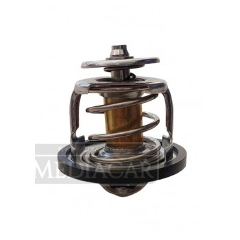 TERMOSTATO WINGLE 5 22 11/20