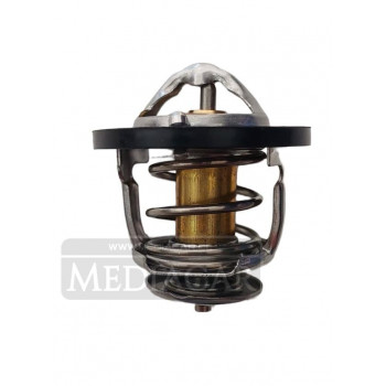 TERMOSTATO WINGLE 5 22 11/20