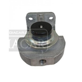 TAPA F.PETROLEO  CAMION T