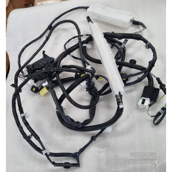 HARNESS - BODY