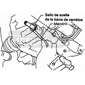 SELLO VARILLA