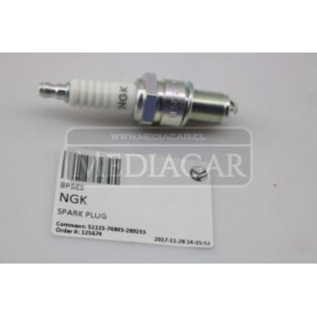 BUJIA MOTOR NGK