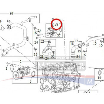 TERMOSTATO CULATA MOTOR 20D