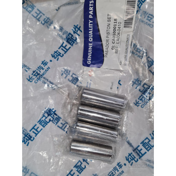 PASADOR PISTON SET