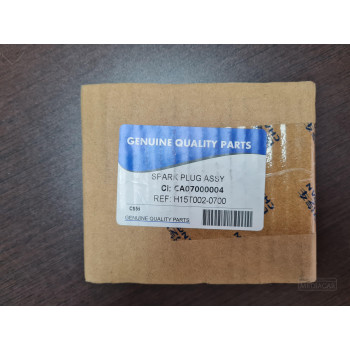 SPARK PLUG ASSY